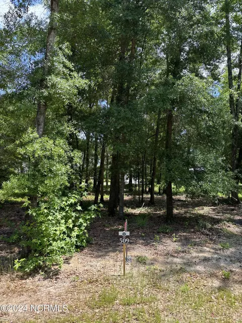 3718 Barnesmore Dr, Castle Hayne, NC 28429