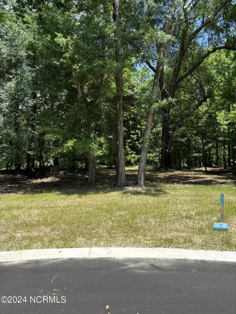 106 Limelight Ct, Castle Hayne, NC 28429