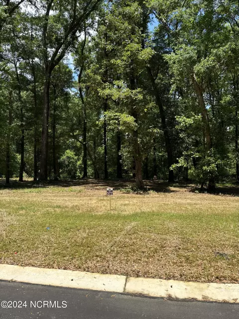 409 Old Forest Dr, Castle Hayne, NC 28429