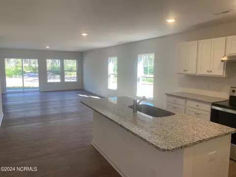 Other - 910 Downing Rd, Boiling Spring Lakes, NC 28461 photo 2 of 4