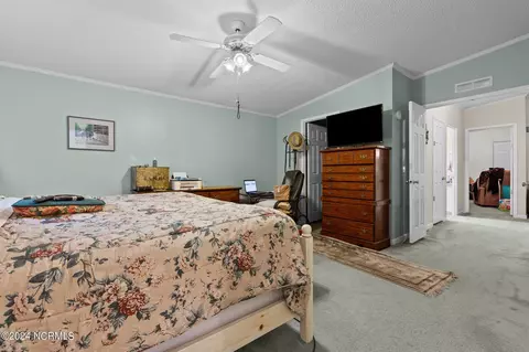 654 Dowd Rd, Candor, NC 27229 photo 59