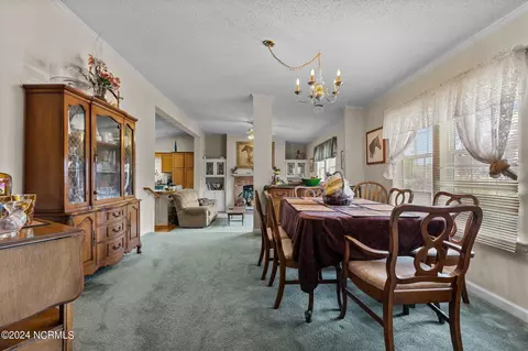 654 Dowd Rd, Candor, NC 27229 photo 51