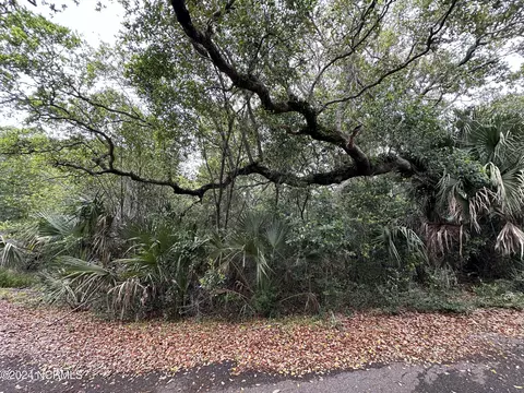 462 Kitty Hawk Woods Way, Bald Head Island, NC 28461