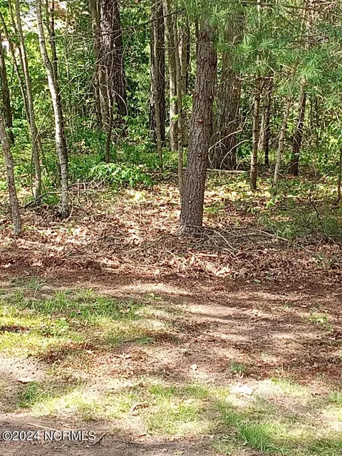 3686 Lakeview Dr SW, Supply, NC 28462