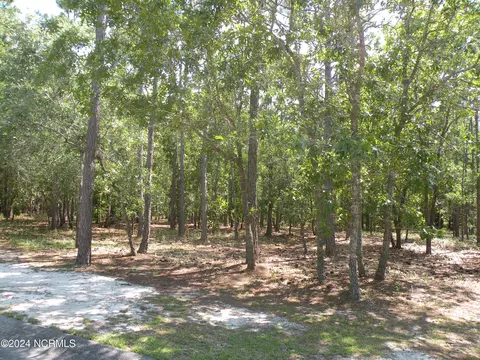 503 Estevao Ln SE, Bolivia, NC 28422