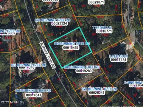 890 Burning Tree Rd, Pinehurst, NC 28374 photo 43