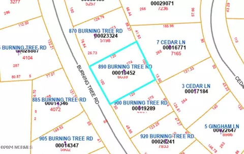 890 Burning Tree Rd, Pinehurst, NC 28374 photo 44