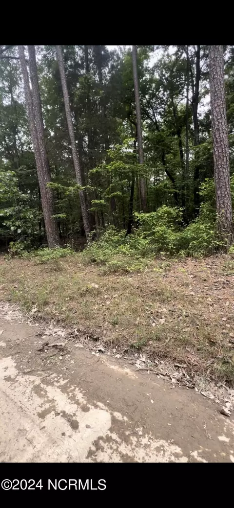 lot25 Cedar Ln Dr, Eagle Springs, NC 27242
