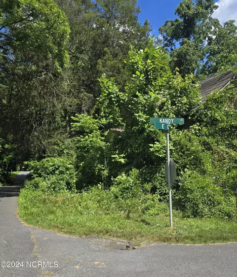 0 E College St, Star, NC 27356 photo 4