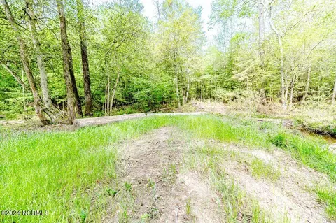 205 Monarch Ln, Cameron, NC 28326 photo 44