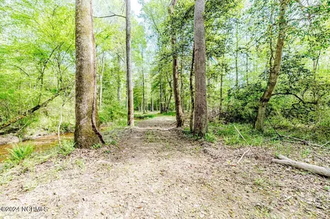 205 Monarch Ln, Cameron, NC 28326 photo 54
