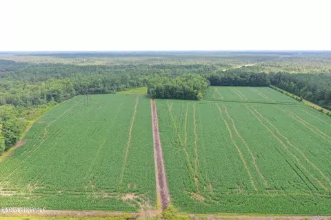 tbd Pelham Rd, Watha, NC 28478