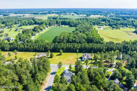 View/Area - 194 Cellars Way, Wallace, NC 28466 photo 9 of 10