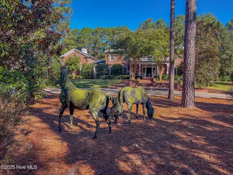 Exterior - 70 Cypress Point Dr, Pinehurst, NC 28374 photo 8 of 48