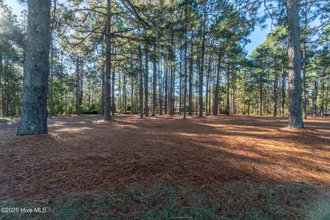 Exterior - 70 Cypress Point Dr, Pinehurst, NC 28374 photo 30 of 48