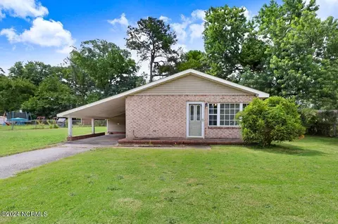 113 Fox Dr, Dudley, NC 28333