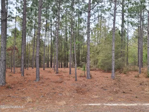 0 Over Lyon Rd, Kelly, NC 28448