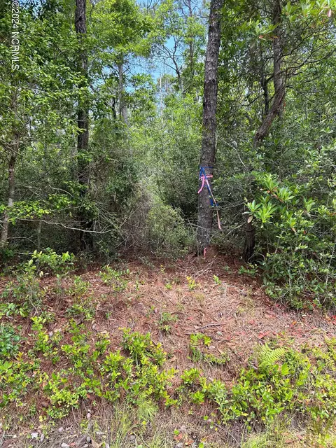 1695 Beech Rd, Southport, NC 28461
