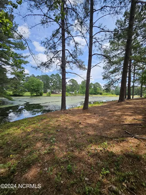 111 Ryder Cup Blvd, Pinebluff, NC 28373 photo 21