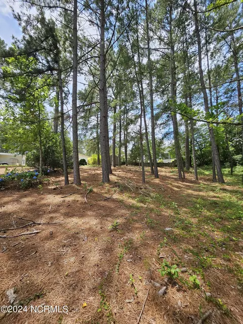 111 Ryder Cup Blvd, Pinebluff, NC 28373 photo 25