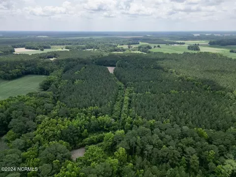 0 Wilcox Ln, Vanceboro, NC 28586