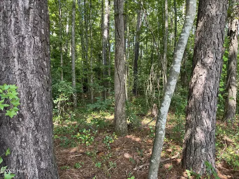0 Green Rd, Spring Hope, NC 27882 photo 3