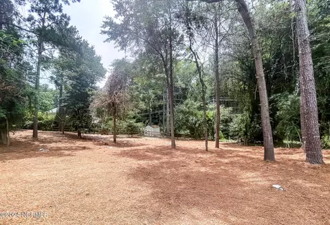 Exterior - 225 Merion Cir, Pinehurst, NC 28374 photo 15 of 16