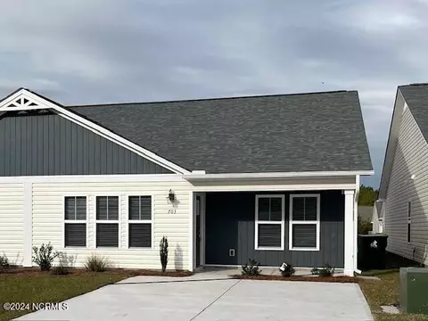 703 Discovery Cv, Newport, NC 28570
