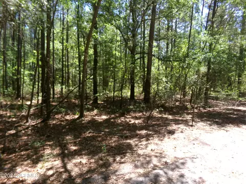 Off Sunshine Road, White Oak, NC 28399