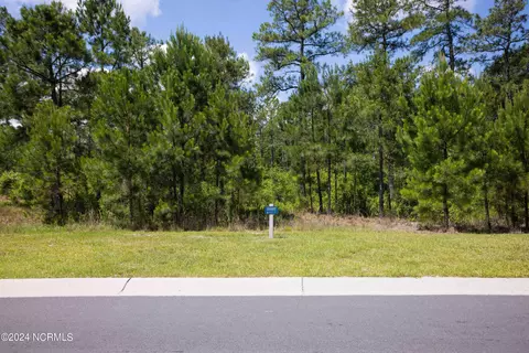9608 Fallen Pear Ln NE, Leland, NC 28451