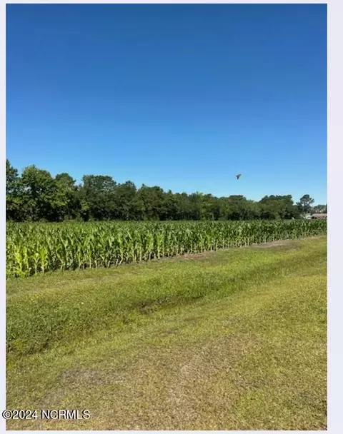 3 Harper Landing Dr, Pink Hill, NC 28572