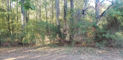 0 Old Ridgeway Dr, Kinston, NC 28504