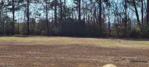 42 42a Whichards Beach Rd, Chocowinity, NC 27817 photo 2