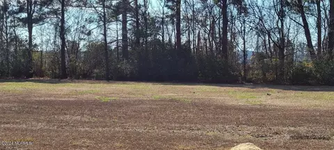 42 42a Whichards Beach Rd, Chocowinity, NC 27817 photo 3