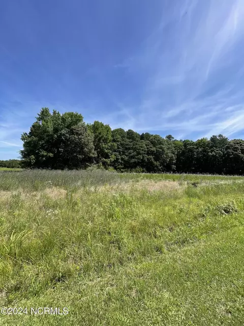 839 845 Cooper Hill Rd, Windsor, NC 27983 photo 9