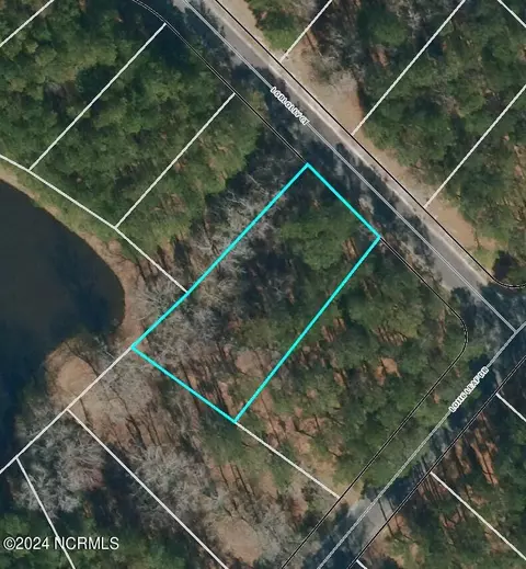 107 Loblolly Ct, Wallace, NC 28466 photo 16
