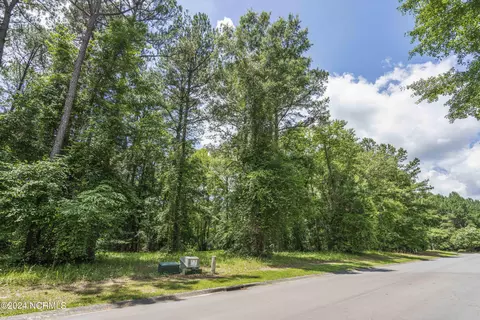 107 Loblolly Ct, Wallace, NC 28466 photo 9