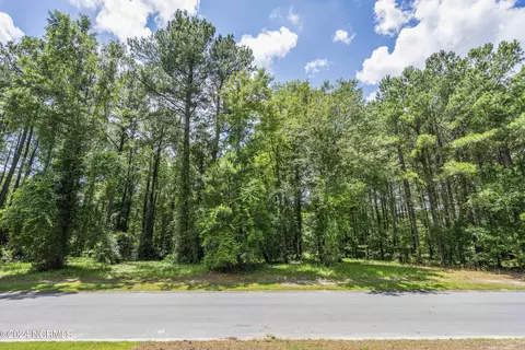 107 Loblolly Ct, Wallace, NC 28466 photo 8