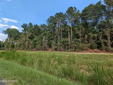 4498 Mercer Mill Brown Marsh Rd, Clarkton, NC 28433