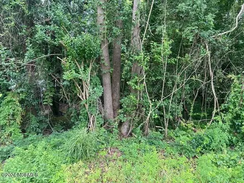 0 Near 2680 Pine Log R Rd, Whiteville, NC 28472