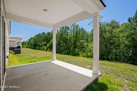 253 Cypress Tree Loop, Longs, SC 29568 photo 25