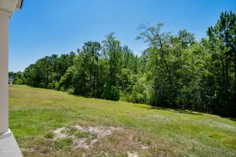 253 Cypress Tree Loop, Longs, SC 29568 photo 27