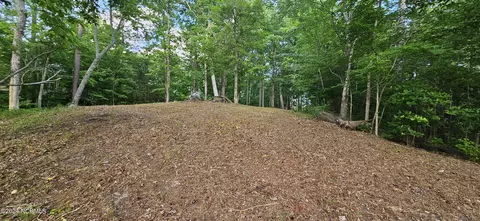 55 Long Point Rd, Chocowinity, NC 27817 photo 3