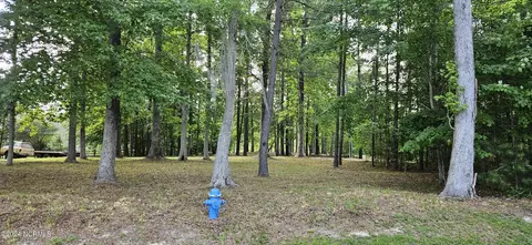 55 Long Point Rd, Chocowinity, NC 27817 photo 10