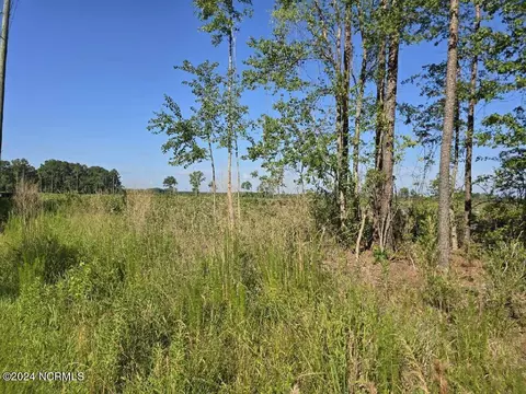 0 Us 17, Chocowinity, NC 27817 photo 8
