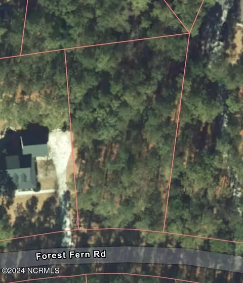 tbd Forest Fern Ct, Wagram, NC 28396