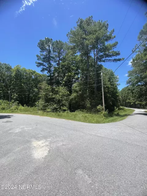 175 Hemlock St, Hertford, NC 27944