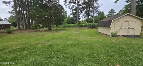 601 Steele St, Mount Olive, NC 28365 photo 6