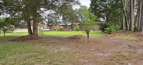 601 Steele St, Mount Olive, NC 28365 photo 5