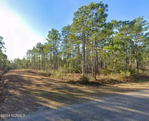 0 Van Buren Rd, Boiling Spring Lakes, NC 28461